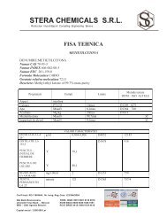 Fisa Tehnica METILETILCETONA.pdf - Stera Chemicals