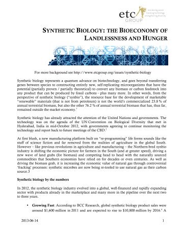 SYN BIO BIOECONOMY OF LANDLESSNESS AND ... - ETC Group