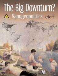 The Big Downturn? Nanogeopolitics - ETC Group