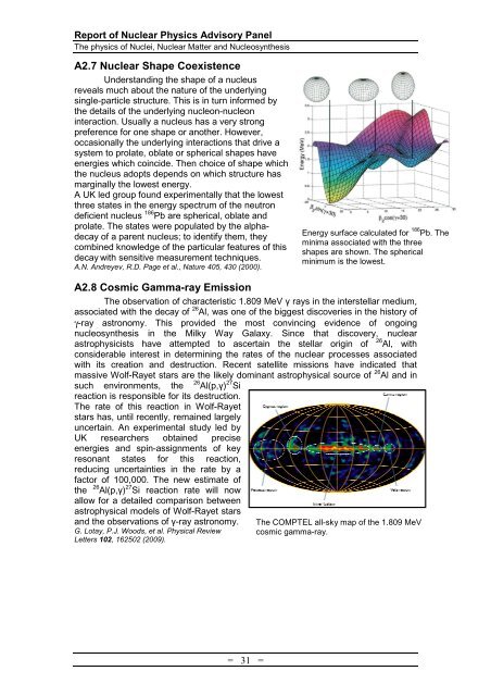 Nuclear Physics Advisory Panel (NPAP) report (PDF-3.8 MB) - STFC