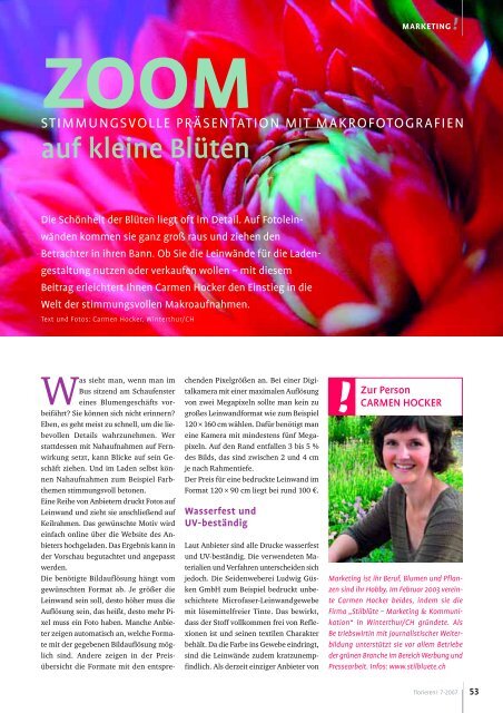 Zoom auf kleine BlÃ¼ten - StilblÃ¼te Marketing und Kommunikation