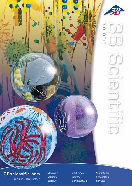 3B Scientific - Biologie Katalog