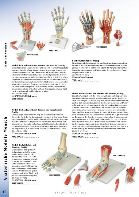 3B Scientific - Biologie Katalog