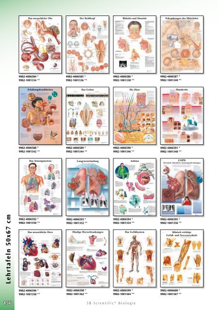 3B Scientific - Biologie Katalog