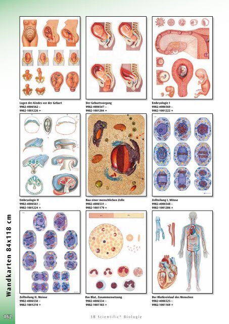 3B Scientific - Biologie Katalog