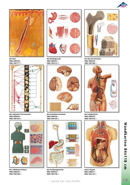 3B Scientific - Biologie Katalog