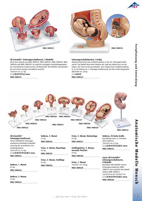 3B Scientific - Biologie Katalog