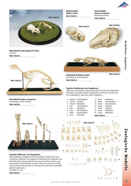 3B Scientific - Biologie Katalog