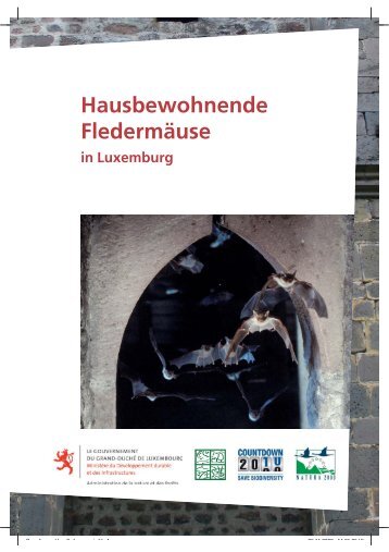 Hausbewohnende Fledermäuse in Luxemburg - Portail de l ...