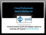 C-Level Professionals Email List and Mailing Database