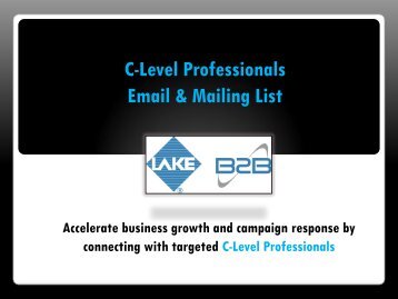 C-Level Professionals Email List and Mailing Database