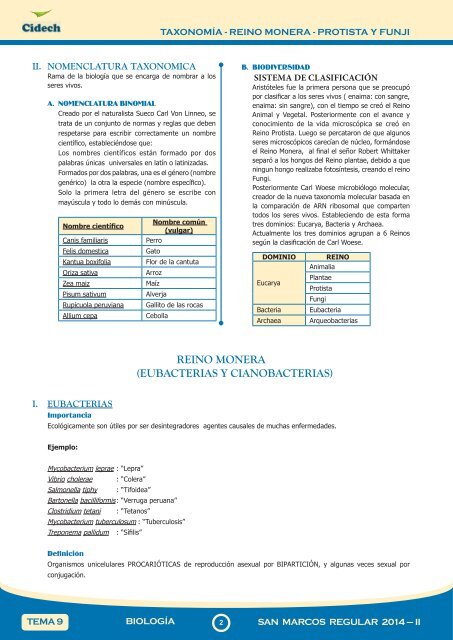 CLASE SEMANA 09