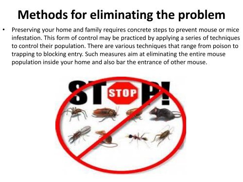The Most Effective Methods For Dealing With Mice In 2014
