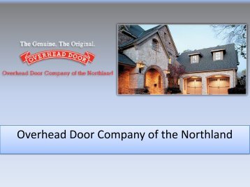 Sectional Steel Doors Minneapolis