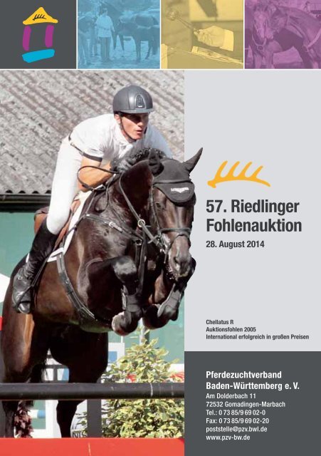 57. Riedlinger Fohlenauktion