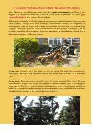   Tree Surgery Nottingham Ensures Highly Specialized Tree Services