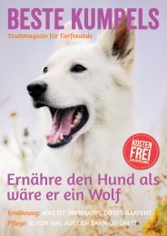 Ernähre den Hund als wäre er ein Wolf