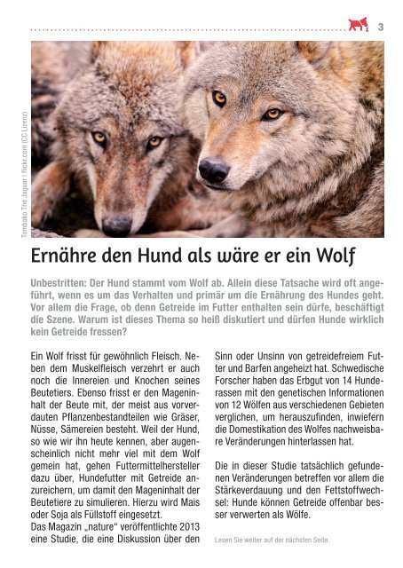 Ernähre den Hund als wäre er ein Wolf