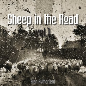 Sheep in the Road