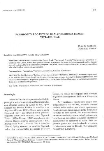 PTERIDÓFITAS DO ESTADO DE MATO GROSSO, BRASIL: VITTARIACEAE