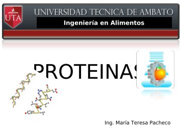 PROTEINAS