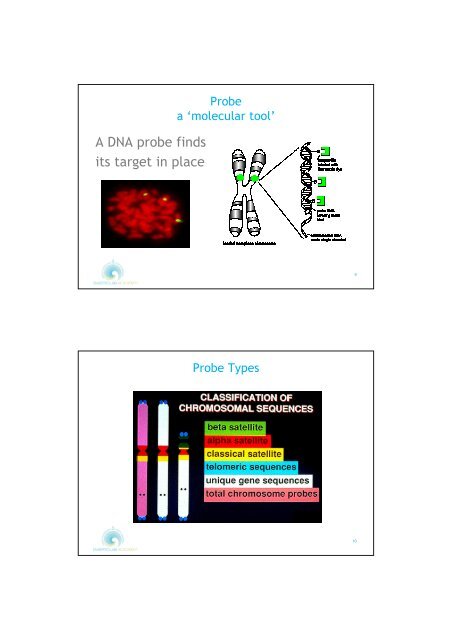 WORKSHOP BOOK Fluorescent in Situ Hybridisation - FISH - on Human Sperm