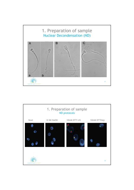 WORKSHOP BOOK Fluorescent in Situ Hybridisation - FISH - on Human Sperm