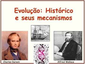 Evolução: Histórico e seus mecanismos