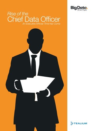 Rise-of-the-Chief-Data-Officer