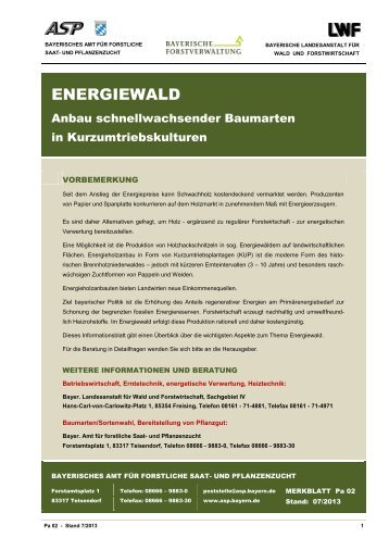 Energiewald - Anbau schnellwachsender Baumarten im ...