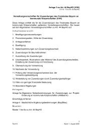 Verwaltungsvorschriften fÃ¼r Zuwendungen des Freistaates Bayern ...