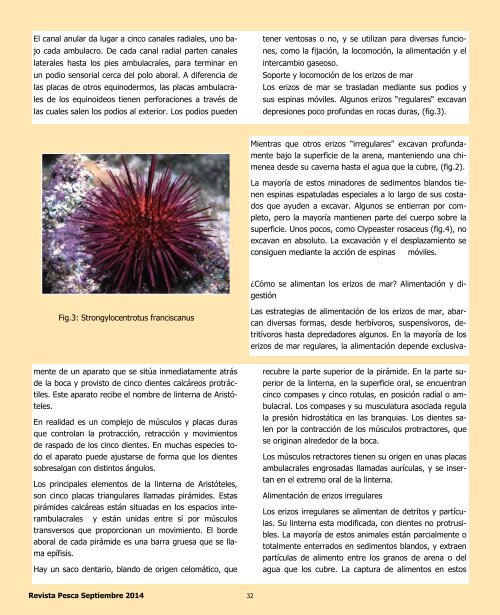 Revista Pesca septiembre 2014