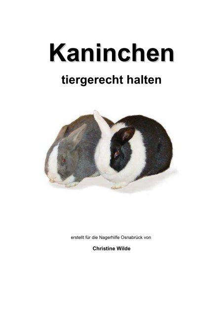 Kaninchen tiergerecht Halten - Nager Info