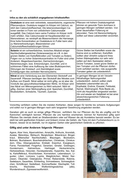 Kaninchen tiergerecht Halten - Nager Info