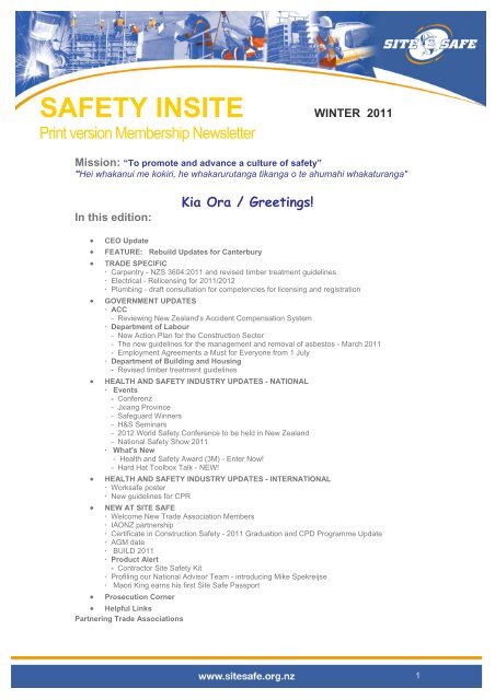 SAFETY INSITE WINTER 2011 - Site Safe