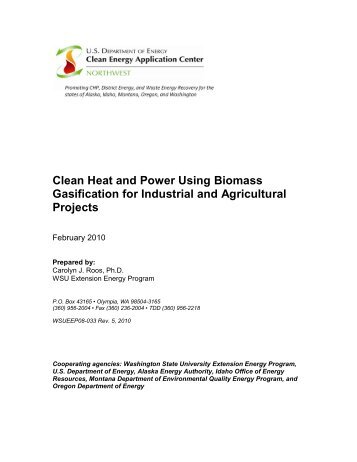 Clean Heat and Power Using Biomass Gasification for - Energy ...