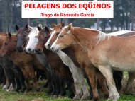 PELAGENS DOS EQÜINOS