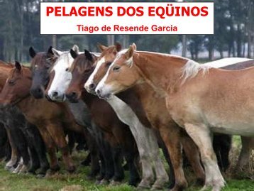 PELAGENS DOS EQÜINOS