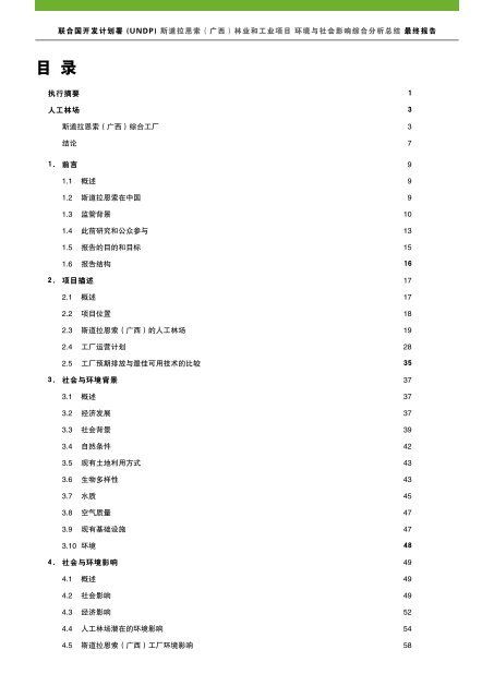 最终报告 - Stora Enso