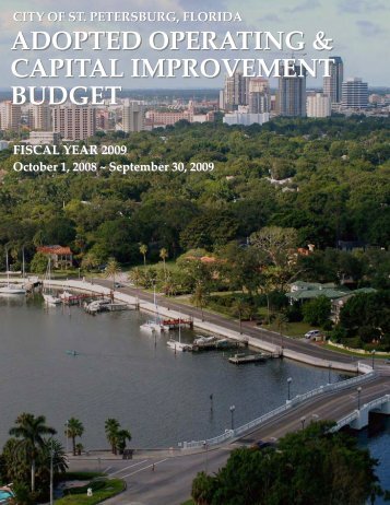 FY 09 Adopted Operating and Capital Improvement Program Budget