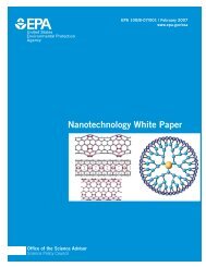 Nanotechnology White Paper - US Environmental Protection Agency