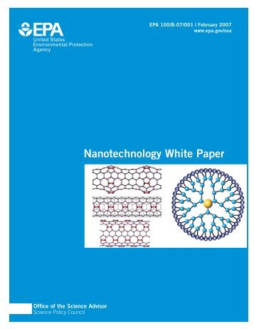 Nanotechnology White Paper - US Environmental Protection Agency