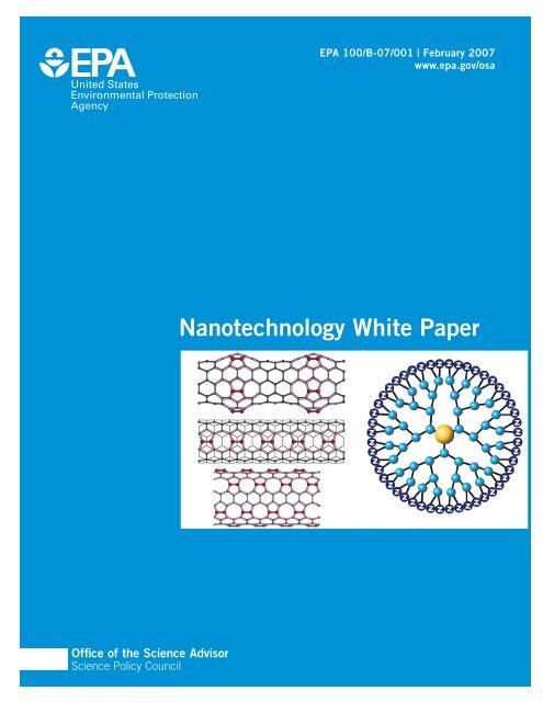 Nanotechnology White Paper - US Environmental Protection Agency