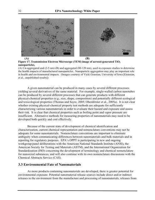 Nanotechnology White Paper - US Environmental Protection Agency