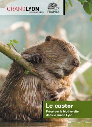 Le castor (novembre 2012) - pdf - 449 Ko - Grand Lyon