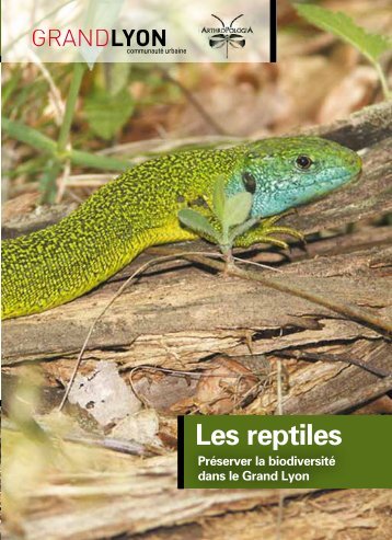Les reptiles (novembre 2012) - pdf - 456 Ko - Grand Lyon