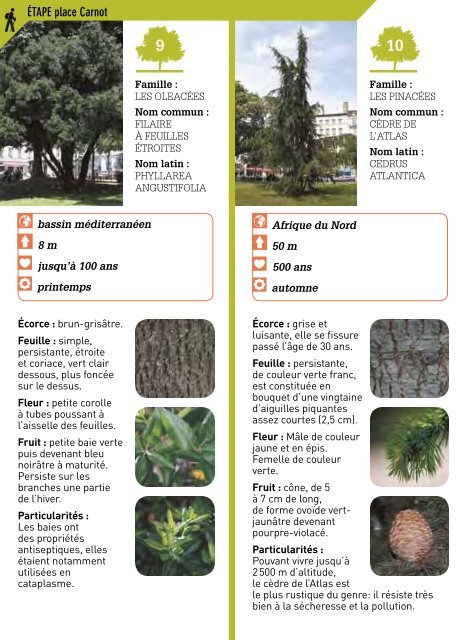 Au fil des arbres Ã  Lyon 2Ã¨me. Carnot la verte (avril ... - Grand Lyon