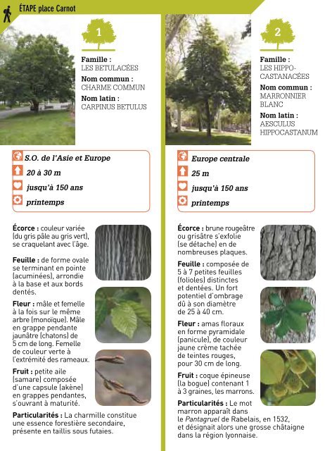 Au fil des arbres Ã  Lyon 2Ã¨me. Carnot la verte (avril ... - Grand Lyon