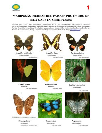 Mariposas Diurnas del Paisaje Protegido de Isla Galeta, ColÃ³n ...