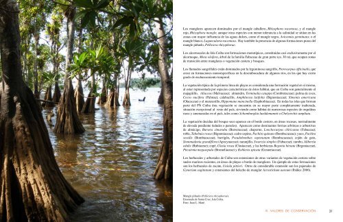 Plan de Manejo del Parque Nacional Coiba - Smithsonian Tropical ...